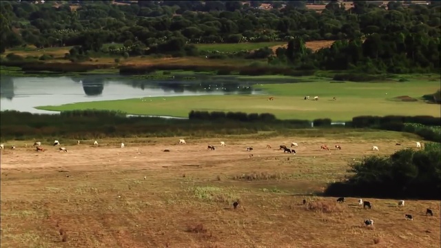 L'Algérie Vue Du Ciel - الجزائر من عَـل - Algeria From Above (Partie 1)