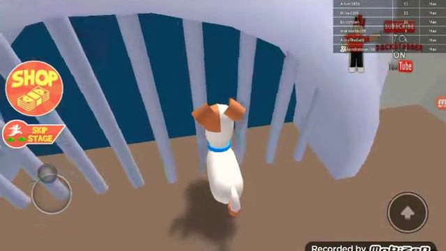 Играю в роблокс. Obby тайная жизнь домашних животных 1 часть смотреть онлайн