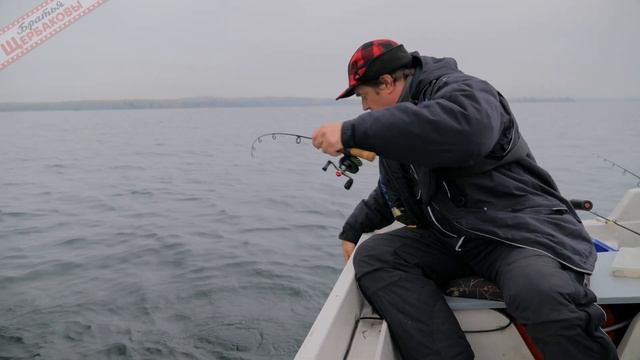 В ОТВЕС за стайным ОКУНЕМ (Vertical Jigging)! Поразительно ЭФФЕКТИВНО, просто и очень АЗАРТНО! смотреть онлайн