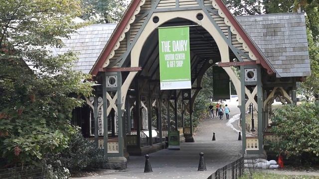 Центральный парк Нью-Йорка, Пруд, начало прогулки 2019 смотреть онлайн