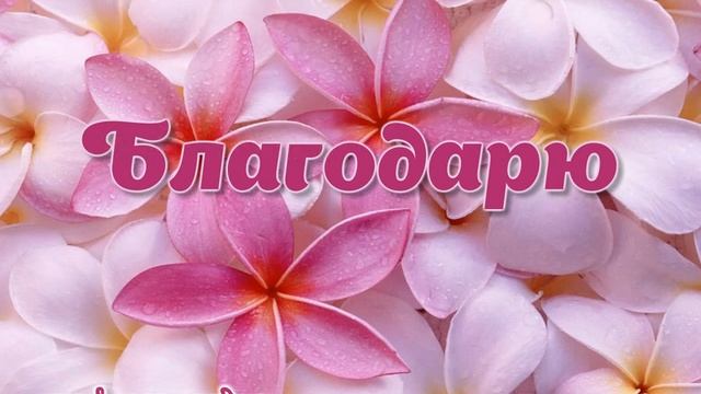 Благодарю от всего сердца! смотреть онлайн