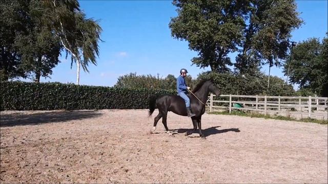 The Horse, Dance Together - Horsmanship