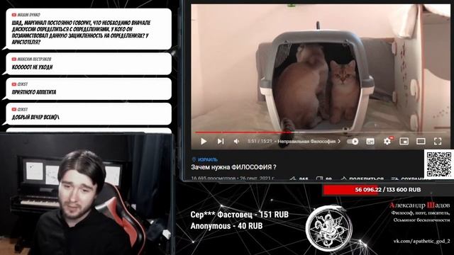 Для чего нужна философия? | Шадов разбирает ролик дилетанта