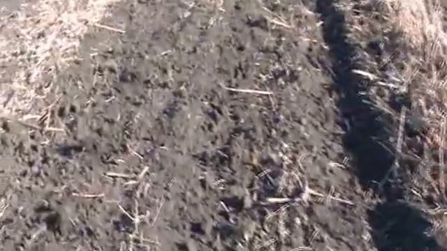 Борона дисковая вибрационная БДД-4х2 смотреть онлайн