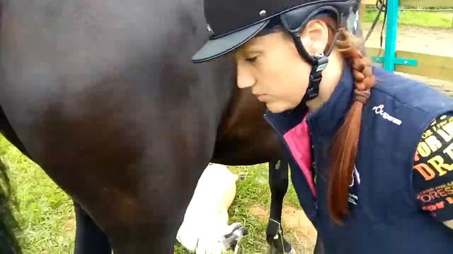 Пульсометр для лошади - проблемы эксплуатации смотреть онлайн