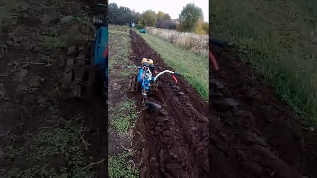 Осенняя вспашка мотоблоком смотреть онлайн