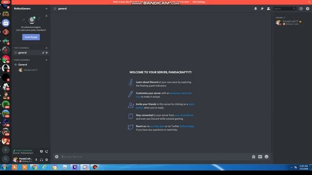 How to do a Roblox discord server #Chats and Roles 1 смотреть онлайн