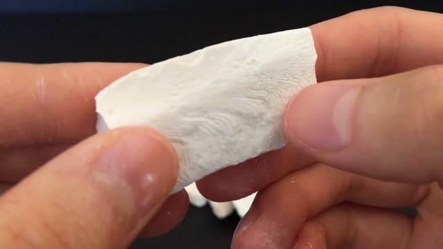 Turtle Adventures: HOW-TO: Cuttlebone Preparation for Your Turtles! смотреть онлайн