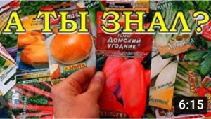 Рассада в ФЕВРАЛЕ: что пора сеять??????