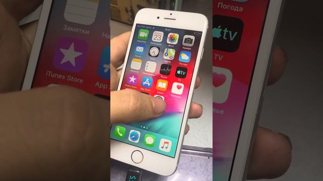 23 января 2024 г.