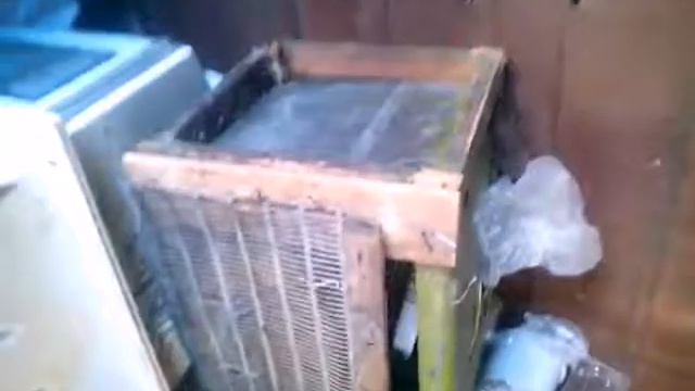 Крольчатам 13 дней !!Красавцы уже открывают глаза!!👍💕🐇🐇🐇🐇💞🐇🐇🐇🐇💕 смотреть онлайн