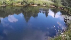 Рабочие воблеры от Bearking   реплика Realis Jerkbait 100SP