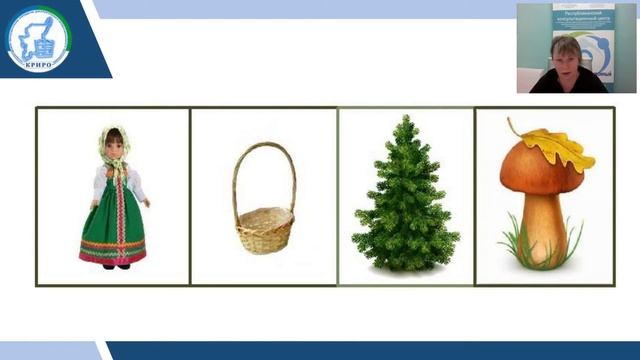 Грибной рай: лесные прогулки