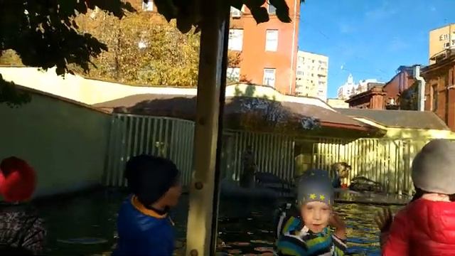 Алина в зоопарке смотреть онлайн