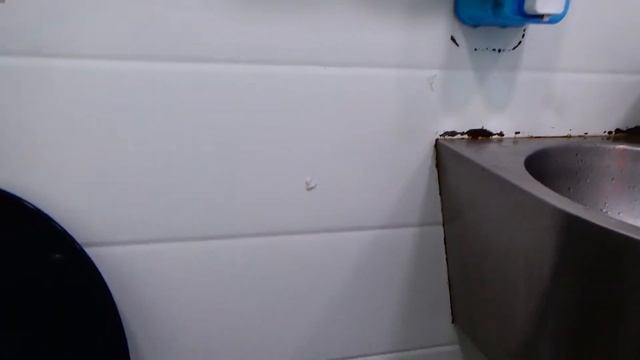 Туалет на платной трассе смотреть онлайн