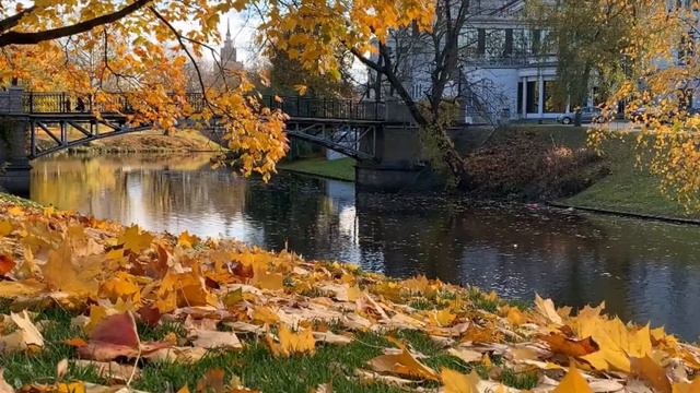 Я ЖИЗНЬ СВОЮ, НЕ МЕРЯЮ ГОДАМИ. смотреть онлайн
