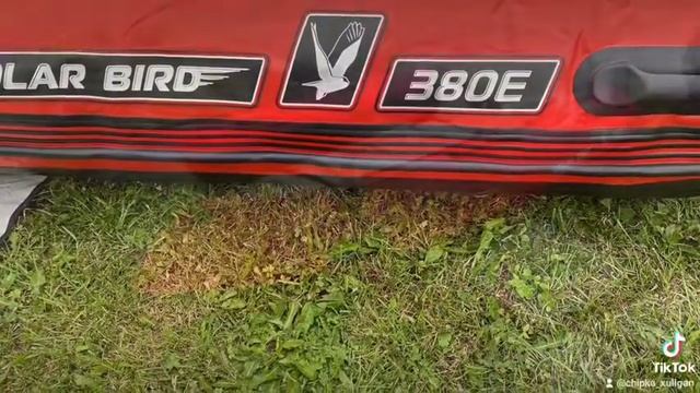 Polarbird 380E ( Орлан ). купил,  первая моя лодка