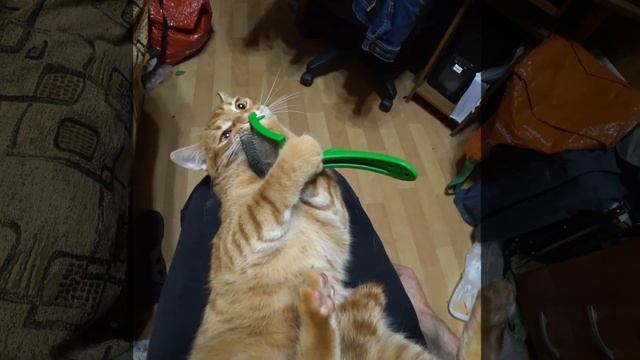 ВЫЧЕСЫВАНИЕ РЫЖУЛИ смотреть онлайн