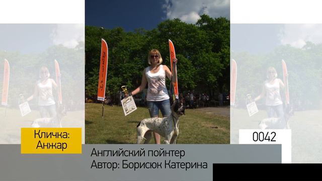 Фотоальбом - Собаки №009 смотреть онлайн
