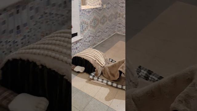 WORMHOLE-RUTI DE VRIES-NAHUM GUTMAN MUSEUM-TEL AVIV смотреть онлайн