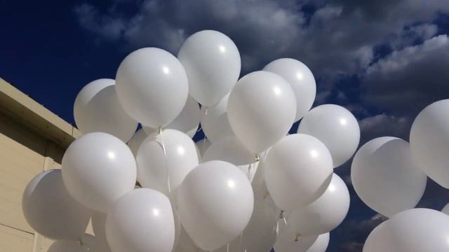 Белые шары 16 дюймов смотреть онлайн