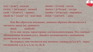 Польский язык для начинающих | Урок 1