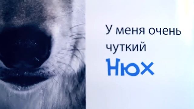 4+ Животные. Книга для детей смотреть онлайн