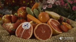 Качество видео 4К UHD(3840x2160)