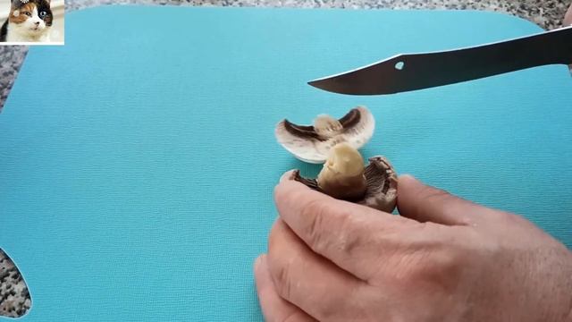 Мясо с Грибами в Духовке под сырной шубой смотреть онлайн