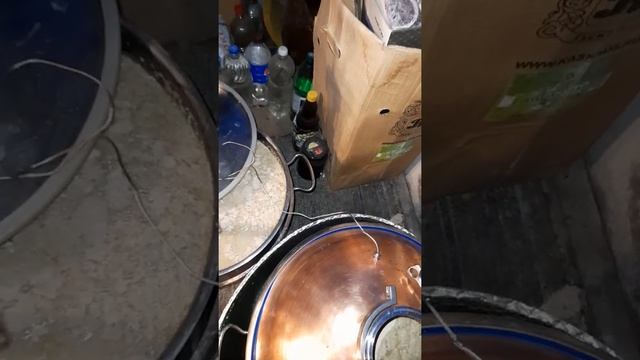 Ячка затор на ферментах ставим на брожение смотреть онлайн