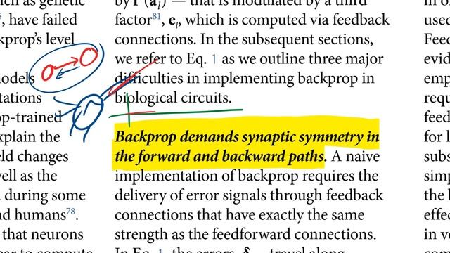 Backpropagation and the brain смотреть онлайн