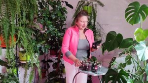 ЗИМНЕЕ ЧЕРЕНКОВАНИЕ ГОРТЕНЗИИ: ПОЧЕМУ ВЯНУТ ЛИСТЬЯ, ПОДКОРМКИ...| Ответы на вопросы о черенковании