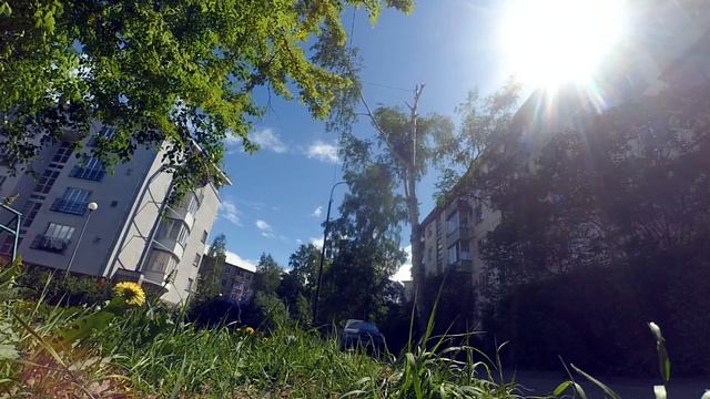 Спил березы над проводами смотреть онлайн