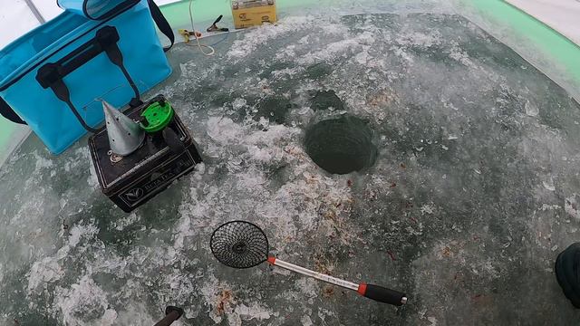 Ловля подлещика в глухозимье с.Хотомля Печенежское вдхр. смотреть онлайн