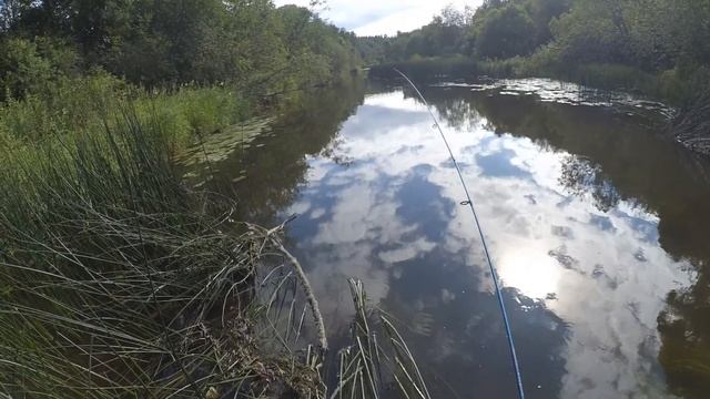 По микроречке за щукой и голавлем. Savage Gear 3D Minnow Vib blade и Sakura Phoxy Minnow смотреть онлайн
