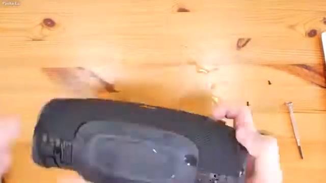 Pasha Es Vs Jbl Sharg 4