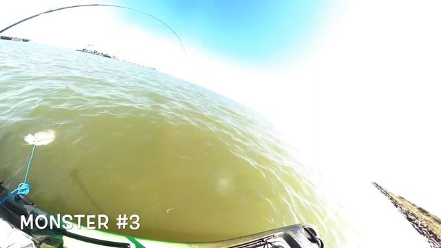 Massive Flounder Limit!! Z-Man vs Gulp Which one won the battle? смотреть онлайн