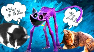 CATNAP у Нас ДОМА! Кот Дрёма ВЫРУБИЛ ВСЕХ!