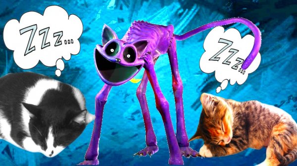 CATNAP у Нас ДОМА! Кот Дрёма ВЫРУБИЛ ВСЕХ!