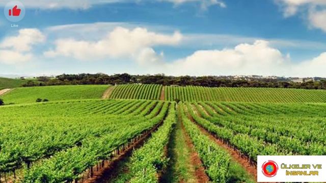 Cezayir Hakkında Bilmeniz Gerekenler #cezayir #ülkeler ?? смотреть онлайн