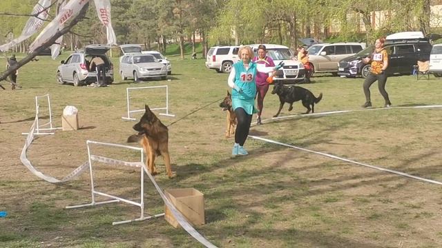 Рабочие кобели 3