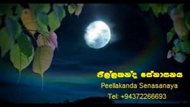 2022 March 20, විපාක ක්ෂය කර තථාගත දැකීම смотреть онлайн