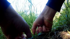 Снасть УБИЙЦА КАРАСЯ. Поклевка. Подводная съемка