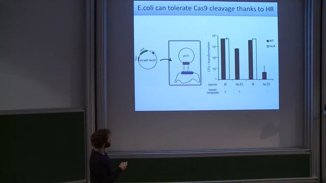 Studying Pathogenic Bacteria смотреть онлайн