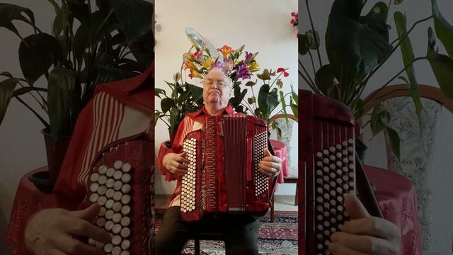 Напиток жизни. Кавказский хит. смотреть онлайн