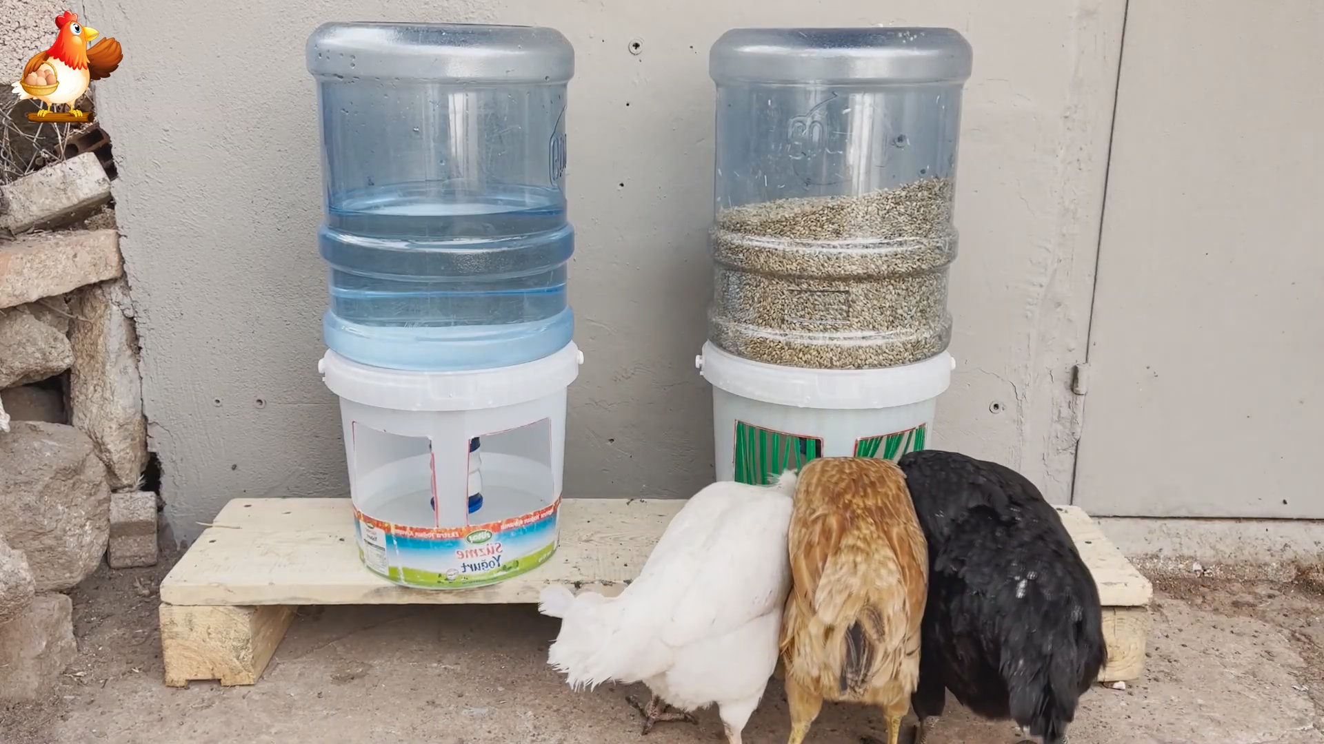 Кормушка и поилка курам из 10 л ведер и 19 л бутылей от кулера