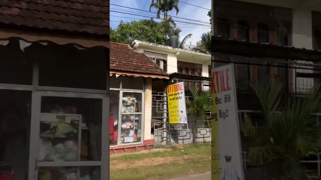 Финальный день на Шри-Ланке январь 2023 смотреть онлайн