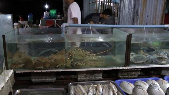 ВЛОГ БОКЕ ВЬЕТНАМ, МОРСКИЕ ОБИТАТЕЛИ!!! смотреть онлайн