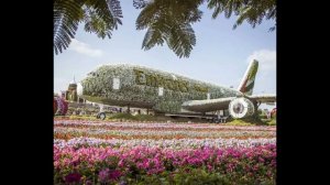 Лучшие экскурсии в ОАЭ! ТОП 5 лучших мест для куда стоит поехать!