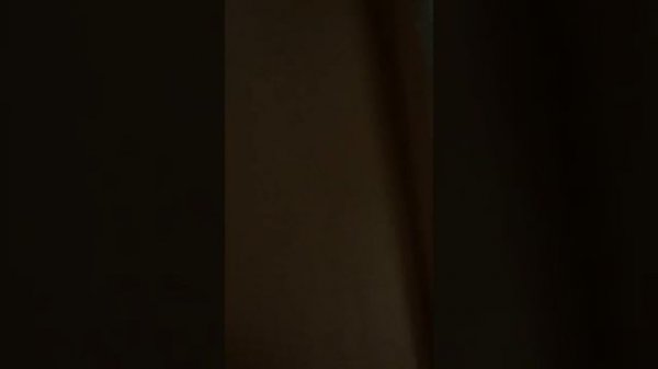 Вписка удалась!